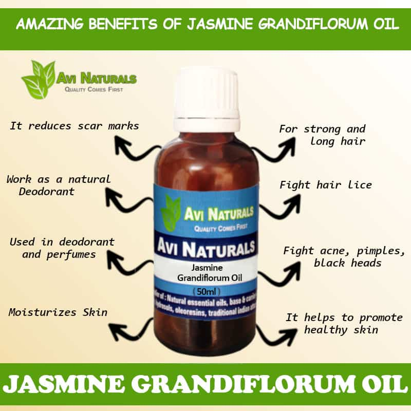 Jasmine Grandiflorum Oil, Uses, Benefits, and Blends