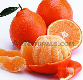 Orange Blossom Absolute