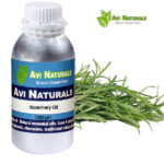 Rosemary Oil Wholesale Supplier And Manufacturer In India